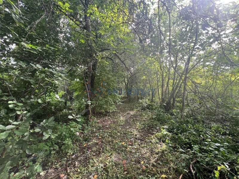 земельный участок 1 056 соток Центральная улица село Федяково